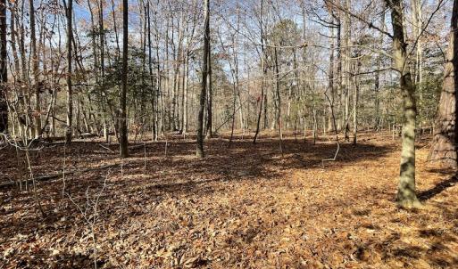 Photo #22 of SOLD property in Off Old Stage Highway, Smithfield, VA 11.4 acres