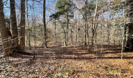 Photo #23 of SOLD property in Off Old Stage Highway, Smithfield, VA 11.4 acres