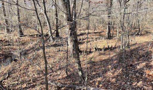Photo #24 of SOLD property in Off Old Stage Highway, Smithfield, VA 11.4 acres