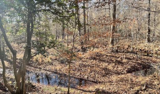 Photo #25 of SOLD property in Off Old Stage Highway, Smithfield, VA 11.4 acres