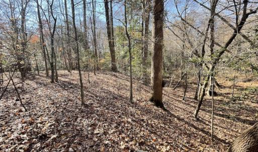 Photo #26 of SOLD property in Off Old Stage Highway, Smithfield, VA 11.4 acres