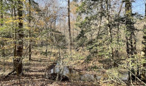 Photo #27 of SOLD property in Off Old Stage Highway, Smithfield, VA 11.4 acres