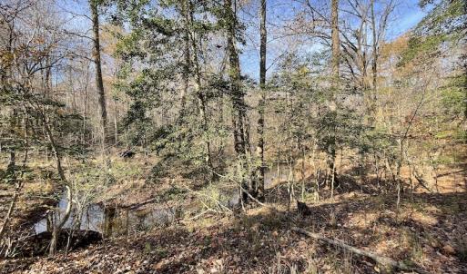 Photo #28 of SOLD property in Off Old Stage Highway, Smithfield, VA 11.4 acres