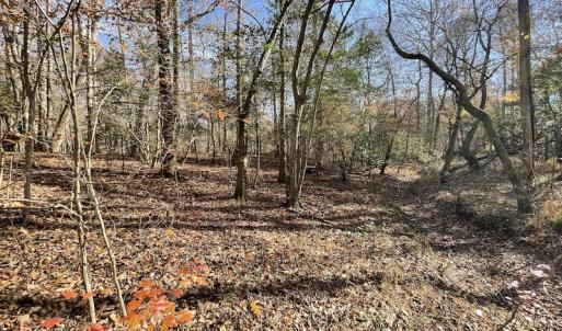 Photo #29 of SOLD property in Off Old Stage Highway, Smithfield, VA 11.4 acres
