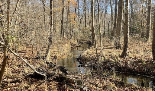 Photo #30 of SOLD property in Off Old Stage Highway, Smithfield, VA 11.4 acres