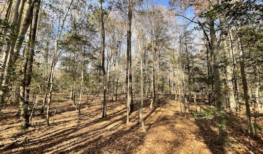 Photo #31 of SOLD property in Off Old Stage Highway, Smithfield, VA 11.4 acres