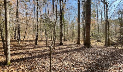 Photo #32 of SOLD property in Off Old Stage Highway, Smithfield, VA 11.4 acres