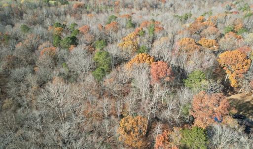 Photo #6 of SOLD property in Off Old Stage Highway, Smithfield, VA 11.4 acres
