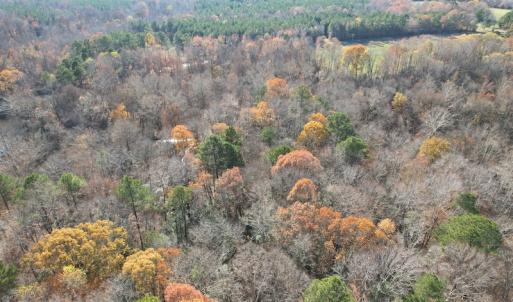 Photo #8 of SOLD property in Off Old Stage Highway, Smithfield, VA 11.4 acres