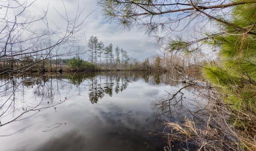 Photo #25 of SOLD property in Off Hughes Mill Road, Burlington, NC 20.1 acres