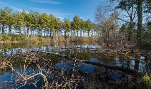 Photo #31 of SOLD property in Off Hughes Mill Road, Burlington, NC 20.1 acres