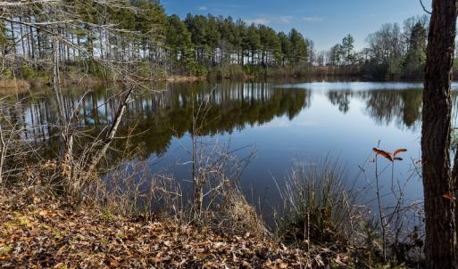 Photo #5 of SOLD property in Off Hughes Mill Road, Burlington, NC 20.1 acres