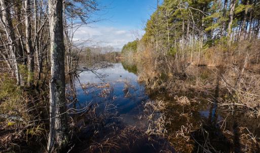Photo #7 of SOLD property in Off Hughes Mill Road, Burlington, NC 20.1 acres