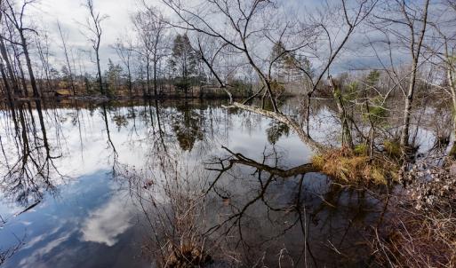 Photo #15 of SOLD property in Off Hughes Mill Road, Burlington, NC 20.1 acres
