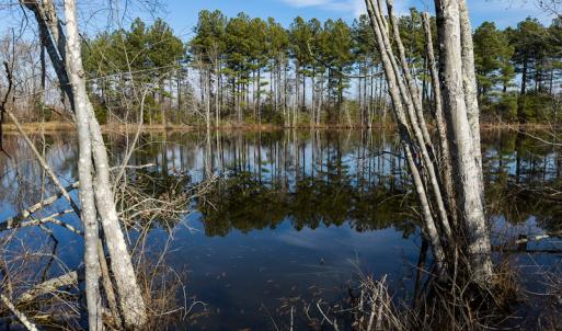 Photo #17 of SOLD property in Off Hughes Mill Road, Burlington, NC 20.1 acres