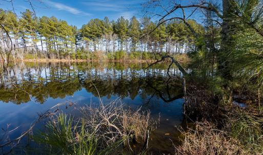 Photo #19 of SOLD property in Off Hughes Mill Road, Burlington, NC 20.1 acres