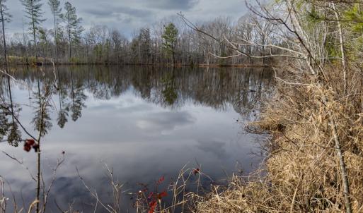 Photo #21 of SOLD property in Off Hughes Mill Road, Burlington, NC 20.1 acres
