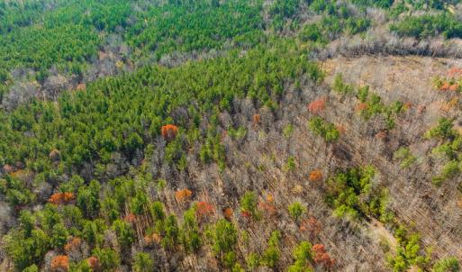 Photo #24 of SOLD property in Off Rocky Ridge Road, Oxford, NC 12.6 acres
