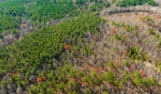 Photo #26 of SOLD property in Off Rocky Ridge Road, Oxford, NC 12.6 acres