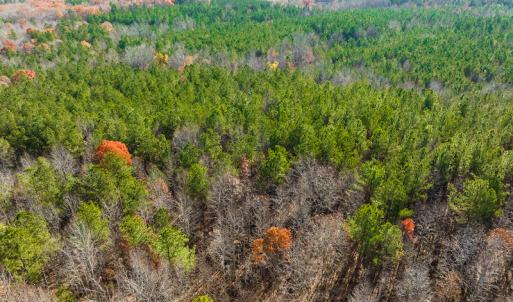 Photo #27 of SOLD property in Off Rocky Ridge Road, Oxford, NC 12.6 acres