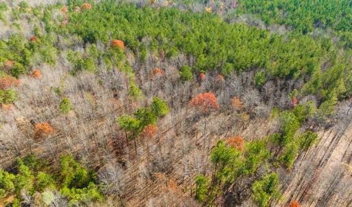 Photo #28 of SOLD property in Off Rocky Ridge Road, Oxford, NC 12.6 acres