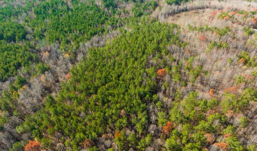 Photo #29 of SOLD property in Off Rocky Ridge Road, Oxford, NC 12.6 acres
