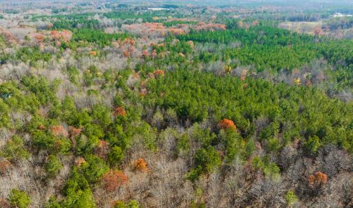Photo #30 of SOLD property in Off Rocky Ridge Road, Oxford, NC 12.6 acres