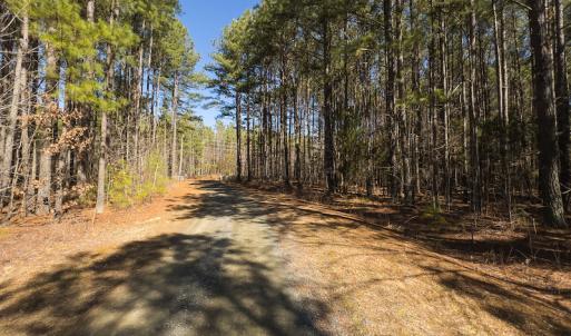 Photo #4 of SOLD property in Off Rocky Ridge Road, Oxford, NC 12.6 acres