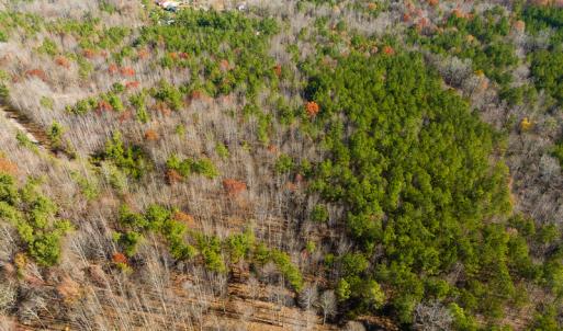 Photo #33 of SOLD property in Off Rocky Ridge Road, Oxford, NC 12.6 acres