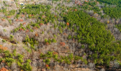 Photo #34 of SOLD property in Off Rocky Ridge Road, Oxford, NC 12.6 acres