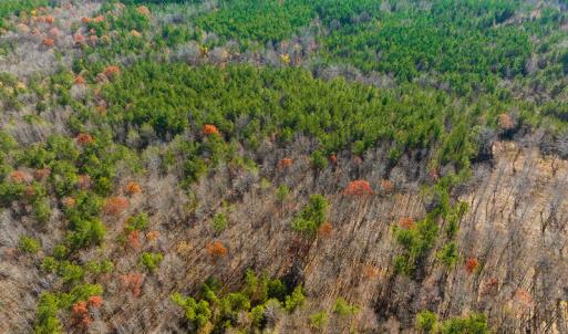 Photo #35 of SOLD property in Off Rocky Ridge Road, Oxford, NC 12.6 acres