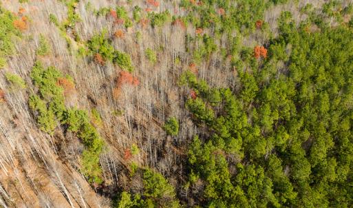 Photo #36 of SOLD property in Off Rocky Ridge Road, Oxford, NC 12.6 acres
