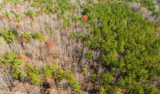 Photo #37 of SOLD property in Off Rocky Ridge Road, Oxford, NC 12.6 acres