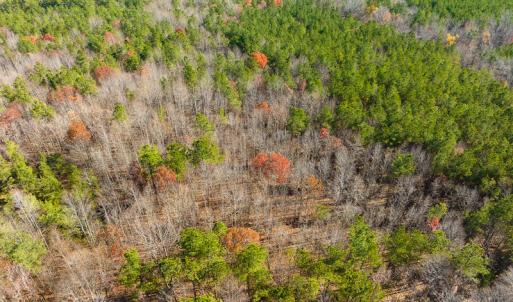 Photo #38 of SOLD property in Off Rocky Ridge Road, Oxford, NC 12.6 acres