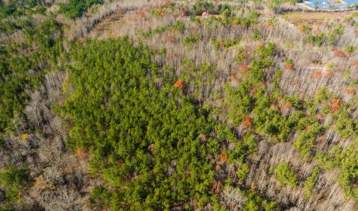 Photo #10 of SOLD property in Off Rocky Ridge Road, Oxford, NC 12.6 acres