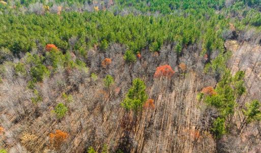 Photo #39 of SOLD property in Off Rocky Ridge Road, Oxford, NC 12.6 acres