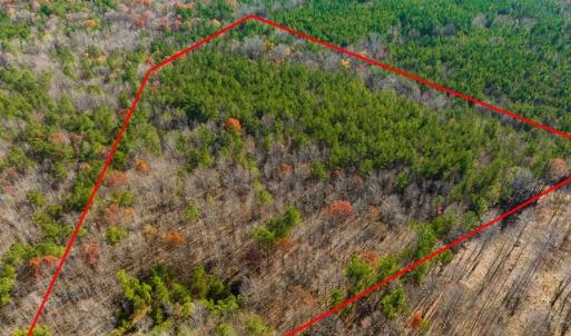 Photo #13 of SOLD property in Off Rocky Ridge Road, Oxford, NC 12.6 acres