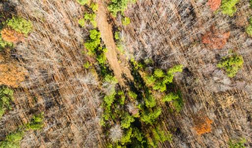 Photo #14 of SOLD property in Off Rocky Ridge Road, Oxford, NC 12.6 acres