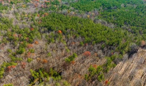 Photo #15 of SOLD property in Off Rocky Ridge Road, Oxford, NC 12.6 acres