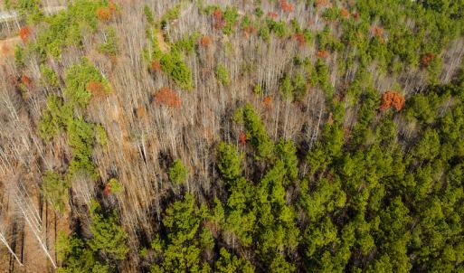 Photo #18 of SOLD property in Off Rocky Ridge Road, Oxford, NC 12.6 acres