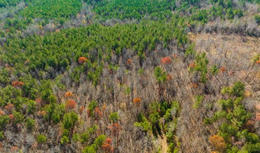Photo #19 of SOLD property in Off Rocky Ridge Road, Oxford, NC 12.6 acres