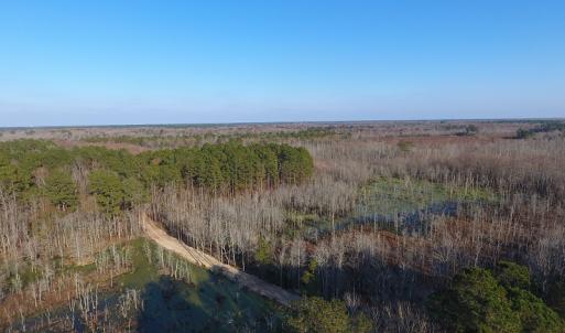 Photo #2 of NC 87 Highway East, Elizabethtown, NC 140.0 acres