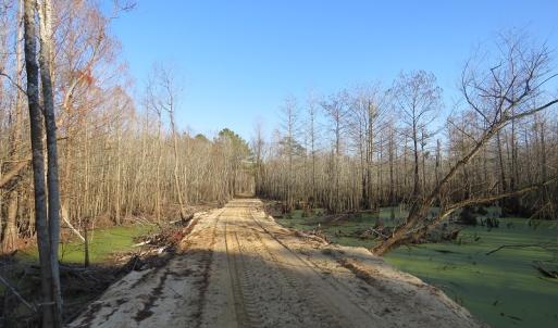 Photo #22 of NC 87 Highway East, Elizabethtown, NC 140.0 acres