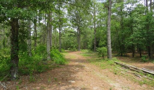 Photo #9 of NC 87 Highway East, Elizabethtown, NC 140.0 acres