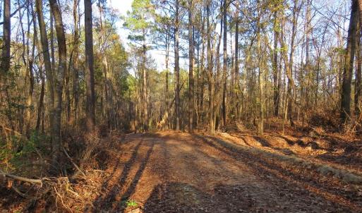 Photo #12 of NC 87 Highway East, Elizabethtown, NC 140.0 acres