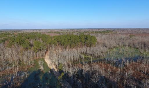 Photo #5 of NC 87 Highway East, Elizabethtown, NC 140.0 acres
