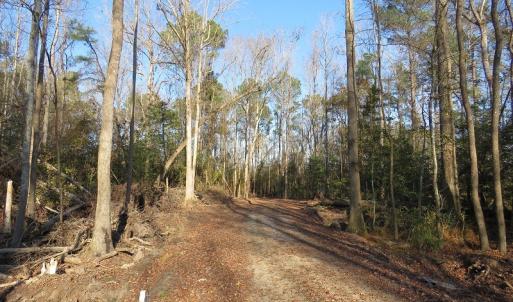 Photo #14 of NC 87 Highway East, Elizabethtown, NC 140.0 acres