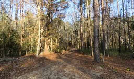 Photo #23 of NC 87 Highway East, Elizabethtown, NC 140.0 acres