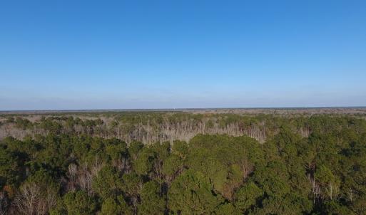 Photo #3 of NC 87 Highway East, Elizabethtown, NC 140.0 acres