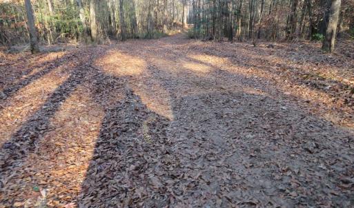 Photo #24 of NC 87 Highway East, Elizabethtown, NC 140.0 acres